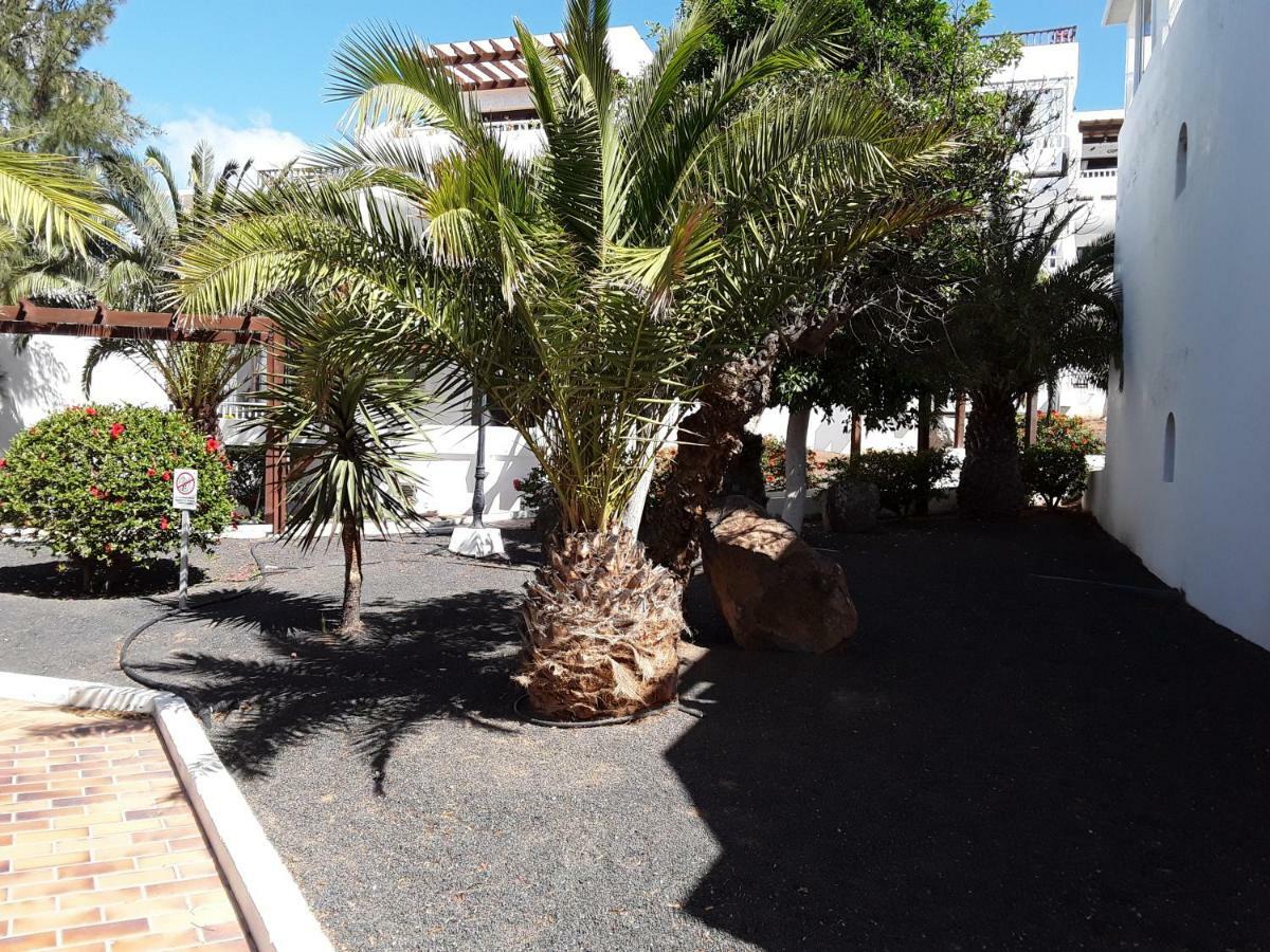 Le Parisien Appartement Costa Teguise